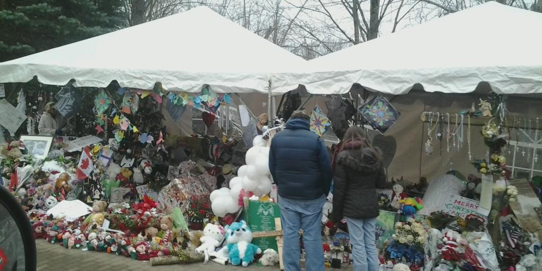 infowars conspiracy : sandy hook