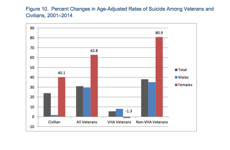 VA Suicide Report
