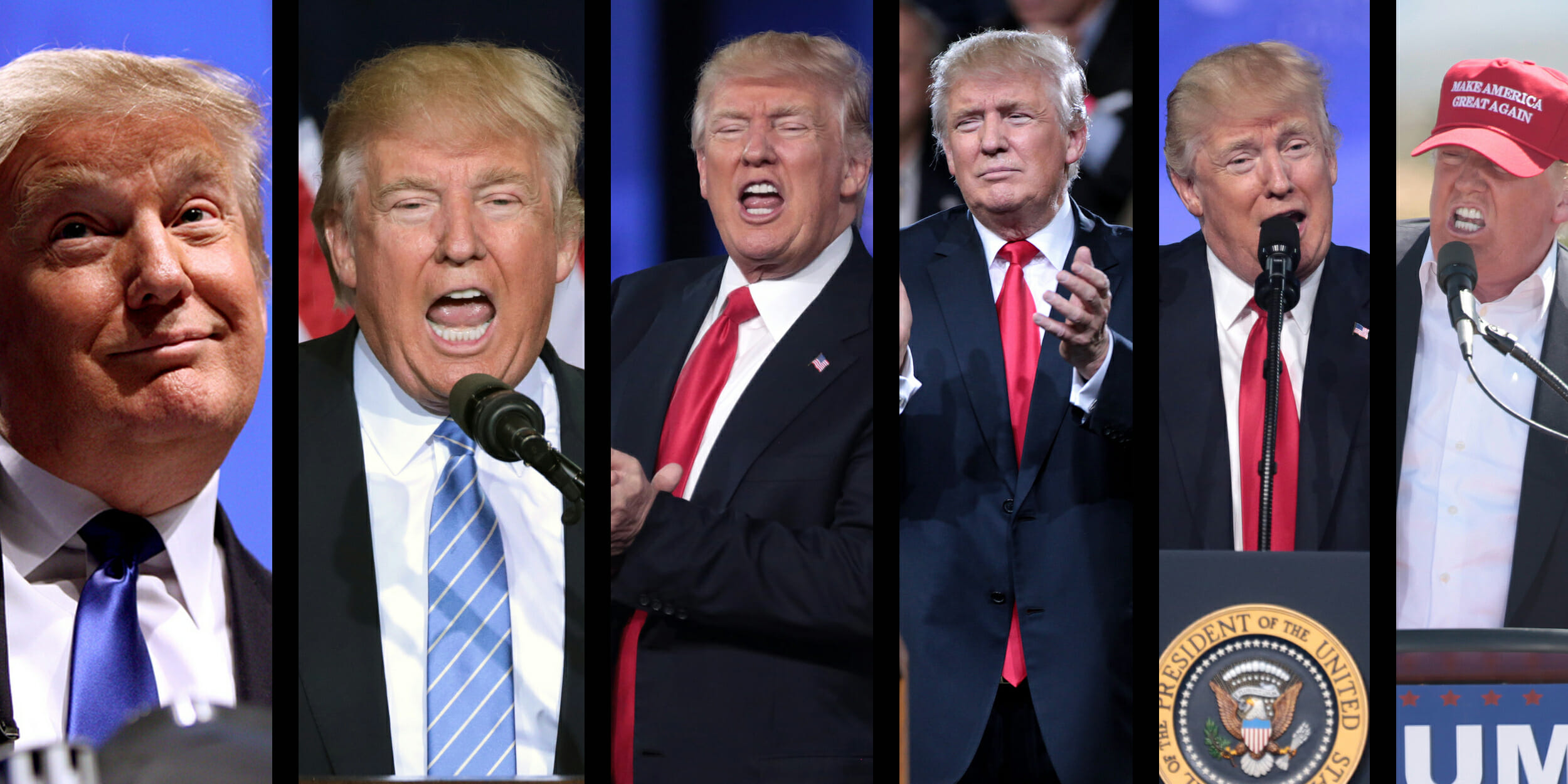 Donald Trump's first 6 months