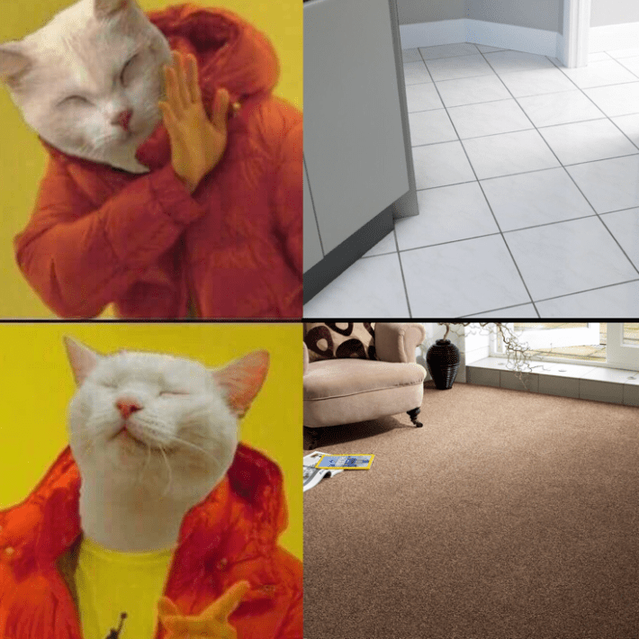 no cat drake not on the carpet