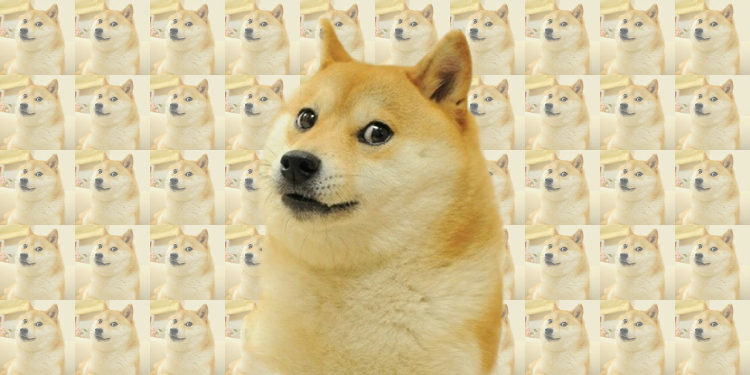Doge in the foreground with doge pattern as the background