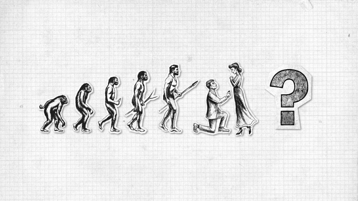 explained review vox