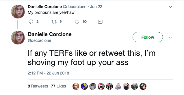 terf definition