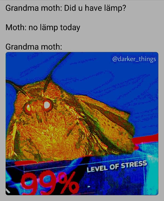 moth memes