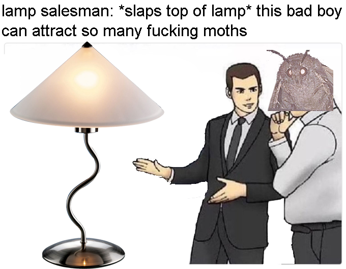 lamp memes