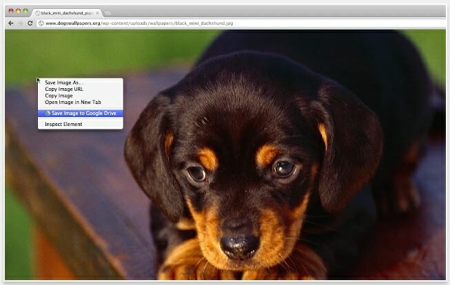 best chrome extensions : save to google drive
