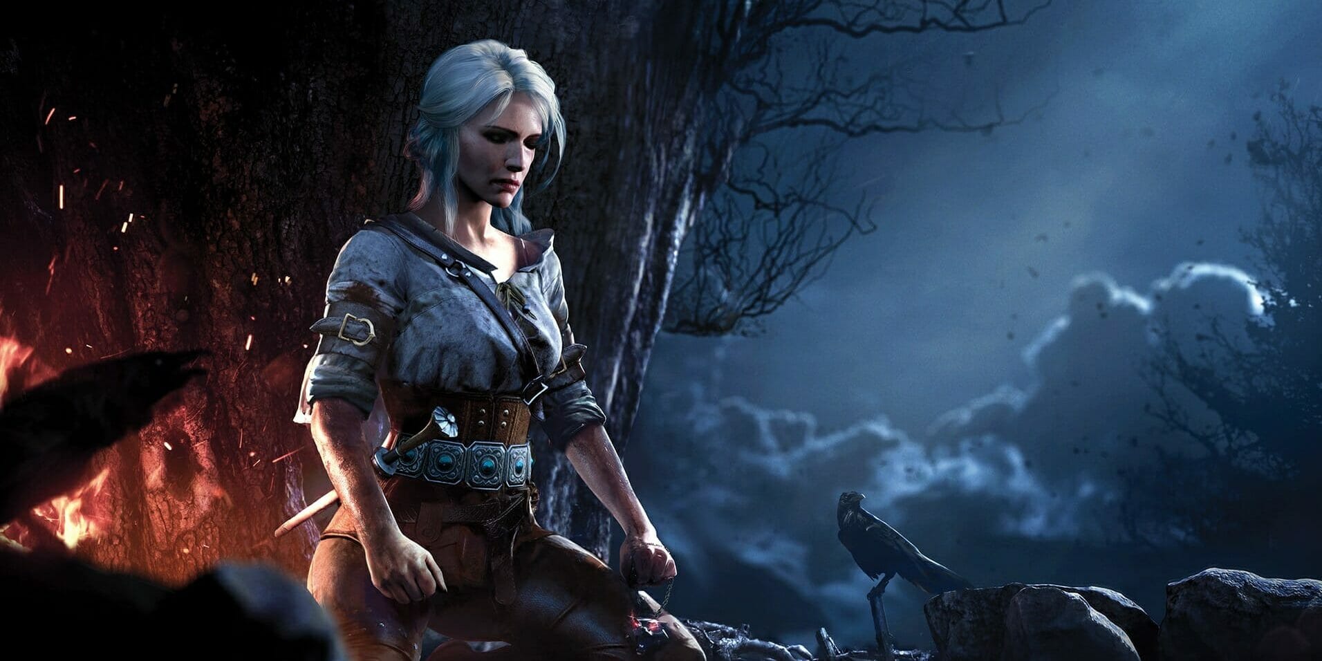 witcher ciri