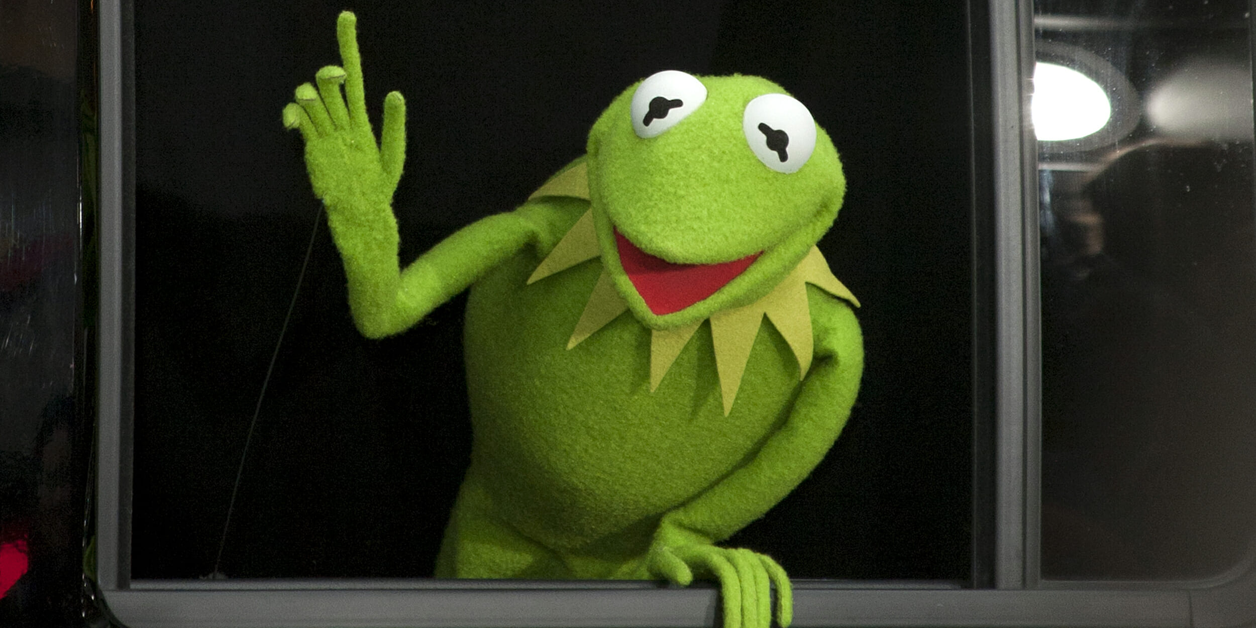 kermit the frog