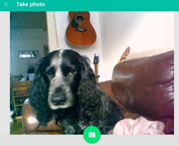 how to download whatsapp on desktop mac pc - photos