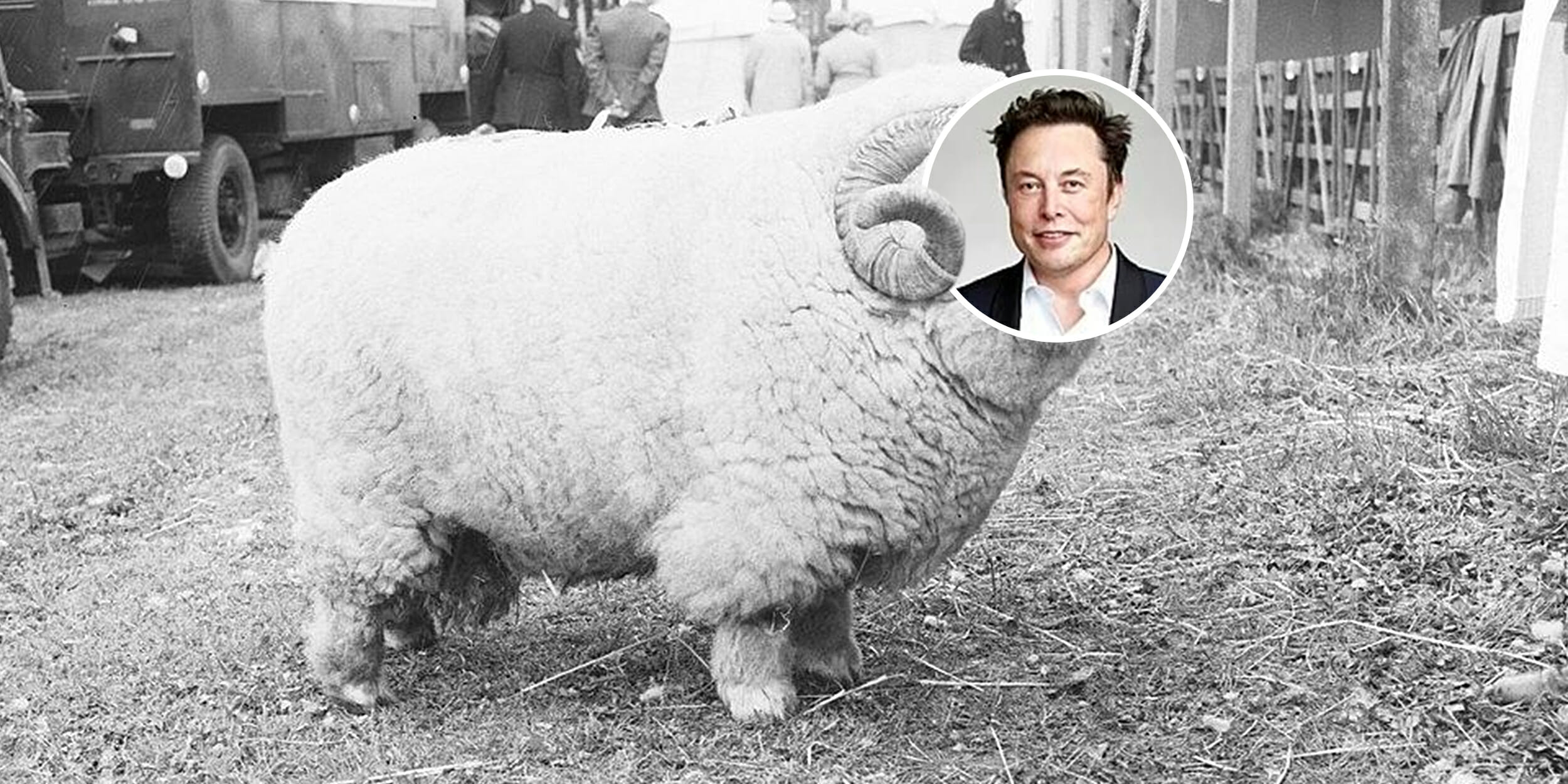 The Muskeum of Elonglish Rural Life