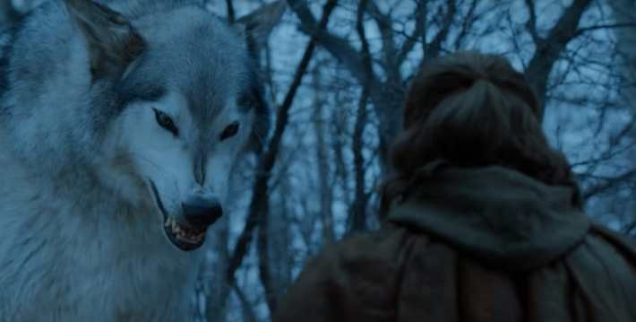 game of thrones direwolves nymeria