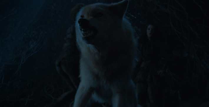 game of thrones direwolves summer
