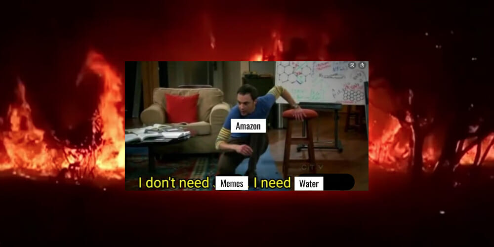 amazon-rainforest-fire-memes