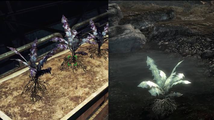 Nirnroot - Fallout 4 secrets