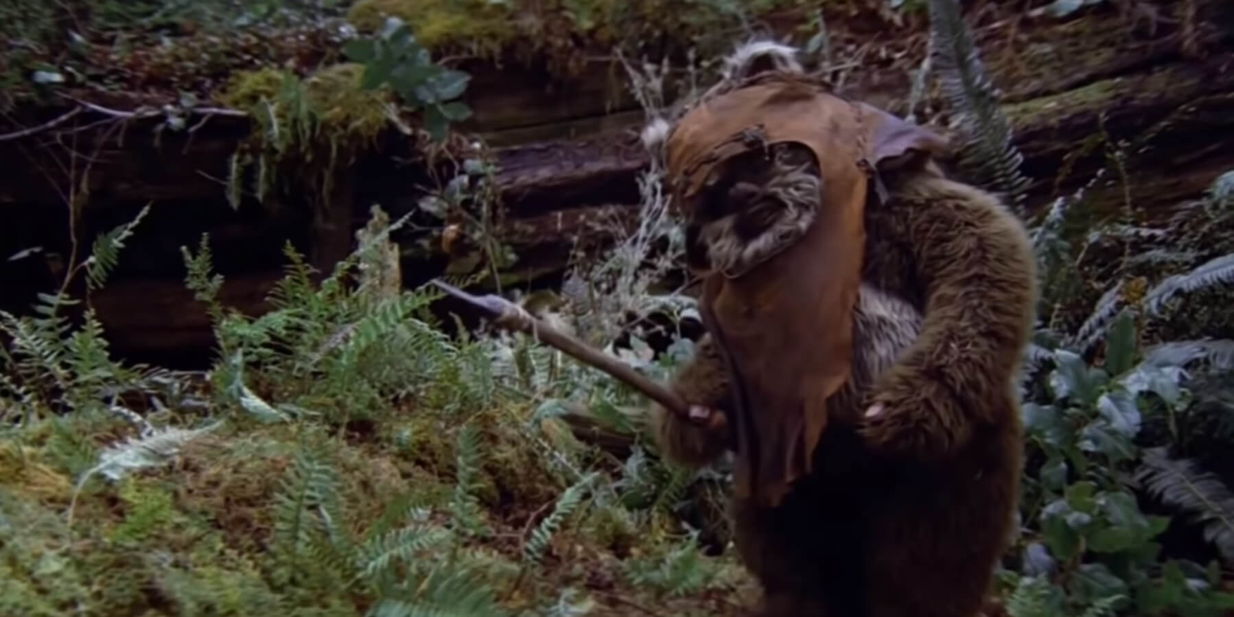 Star Wars creatures - Weok