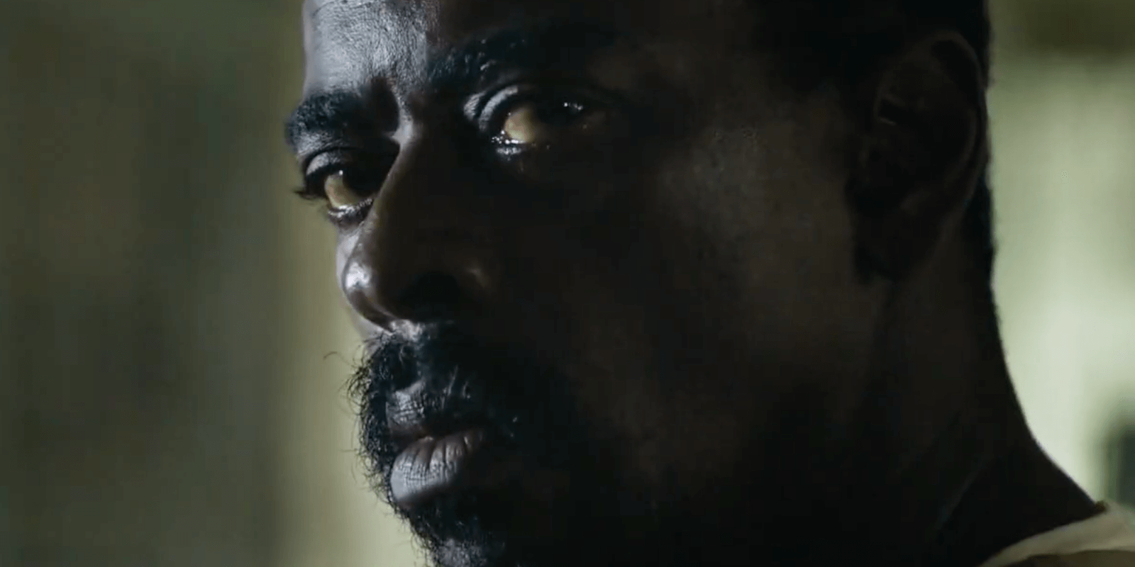 netflix brotherhood review