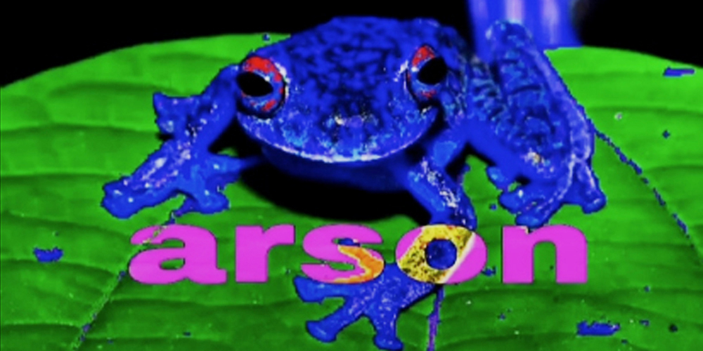 arson frog meme