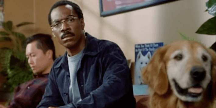 eddie murphy movies dr doolittle