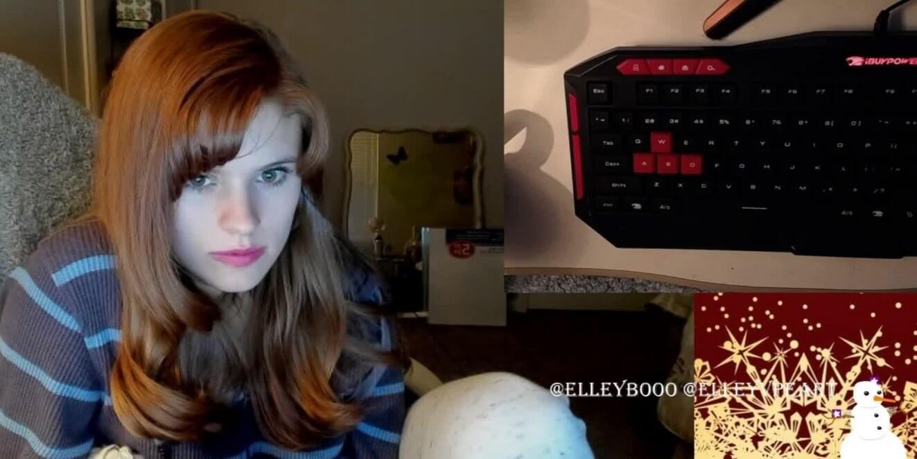 Elleybooo Twitch donation