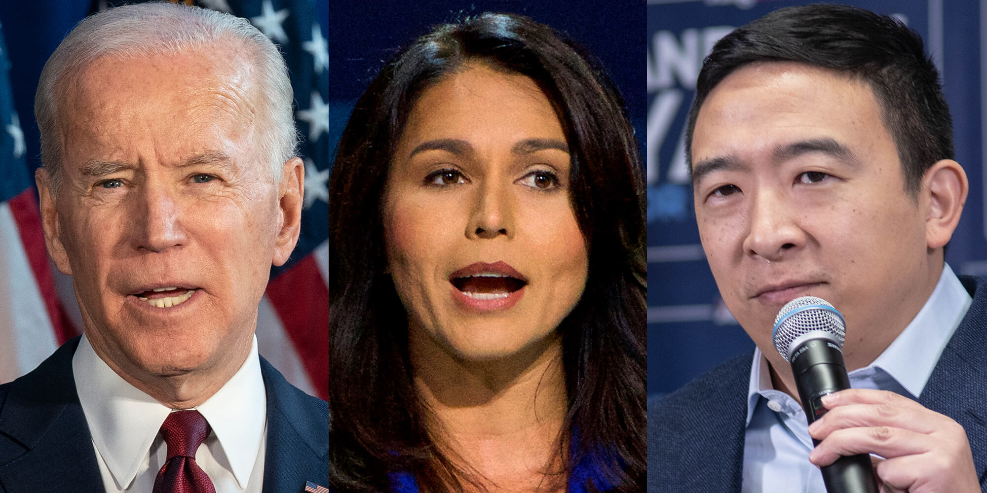 biden gabbard yang section 230