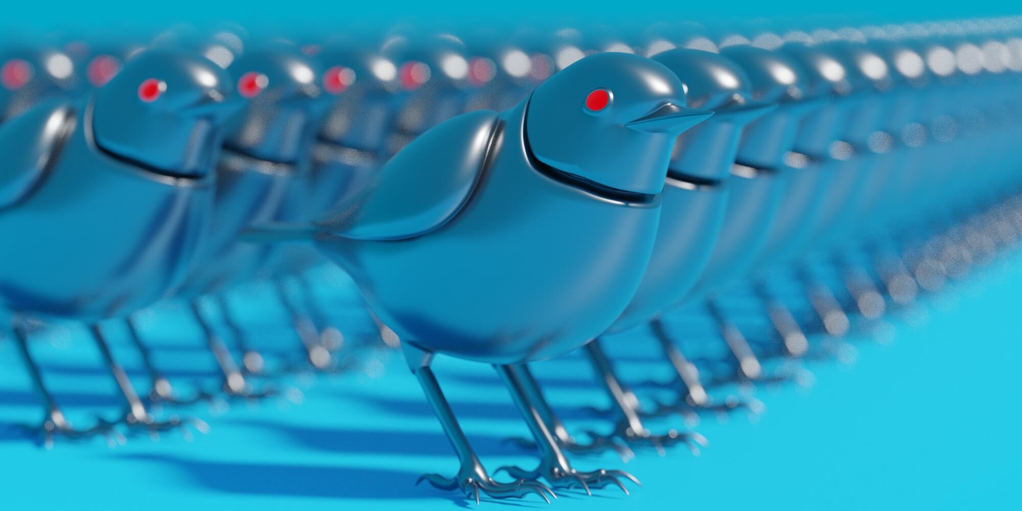 twitter bot birds