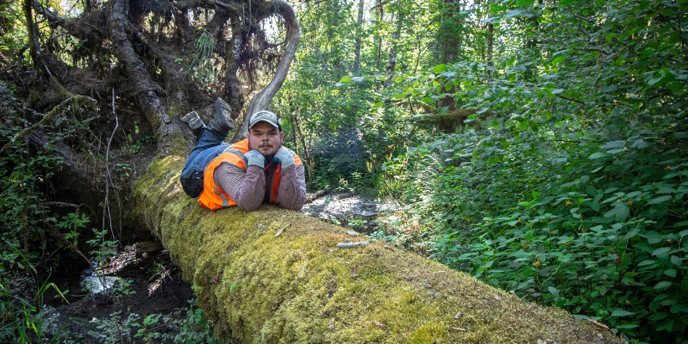 conservationist posing on top of a tree branch