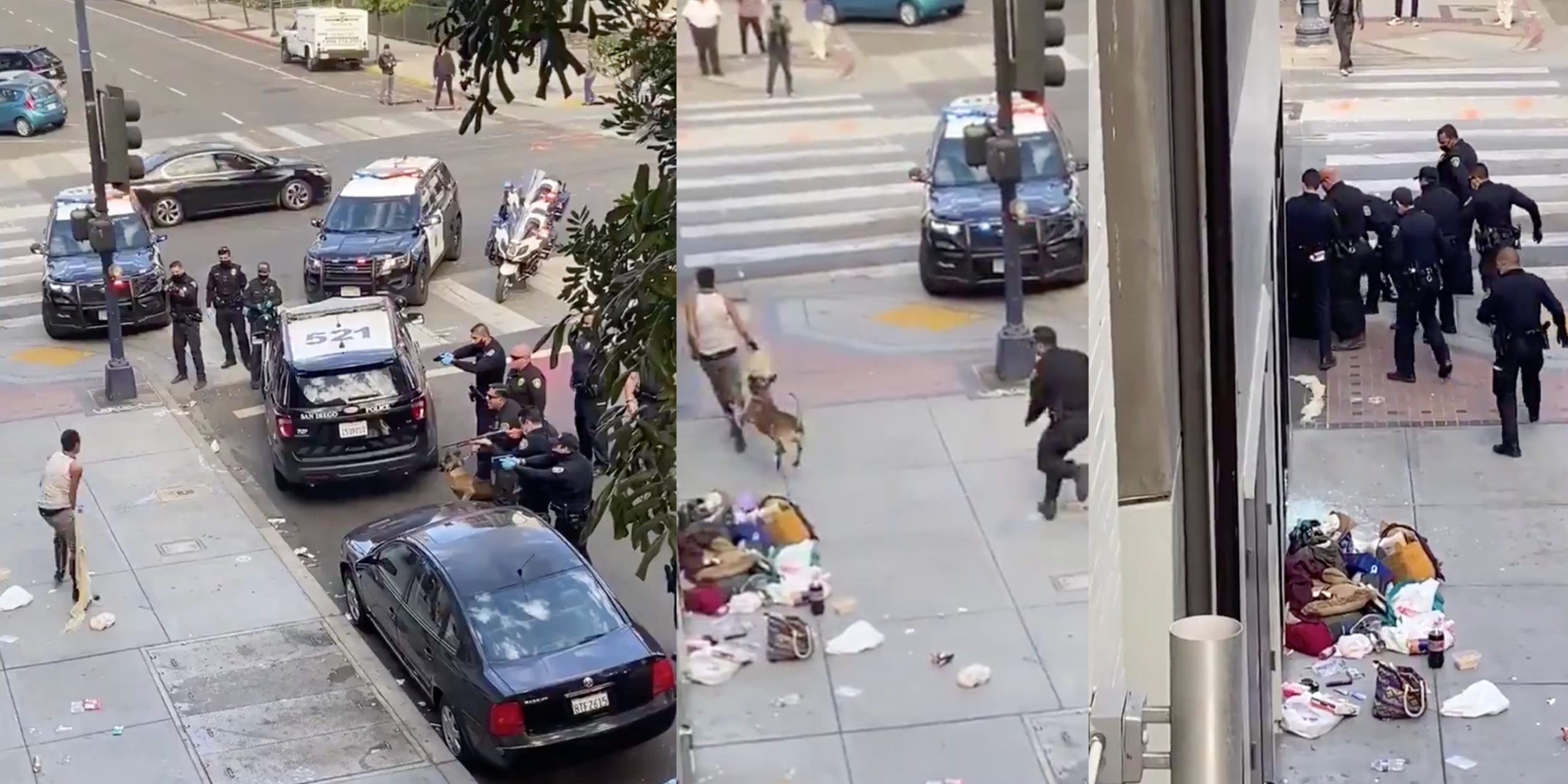 Video shows cops setting a dog loose on homeless woman after firing shots