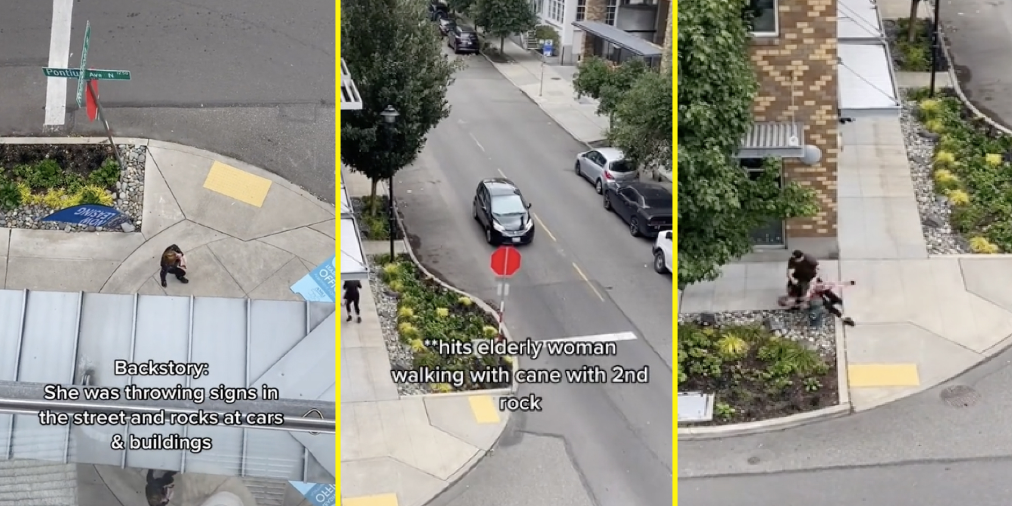 rock thrower tackled viral tiktok video