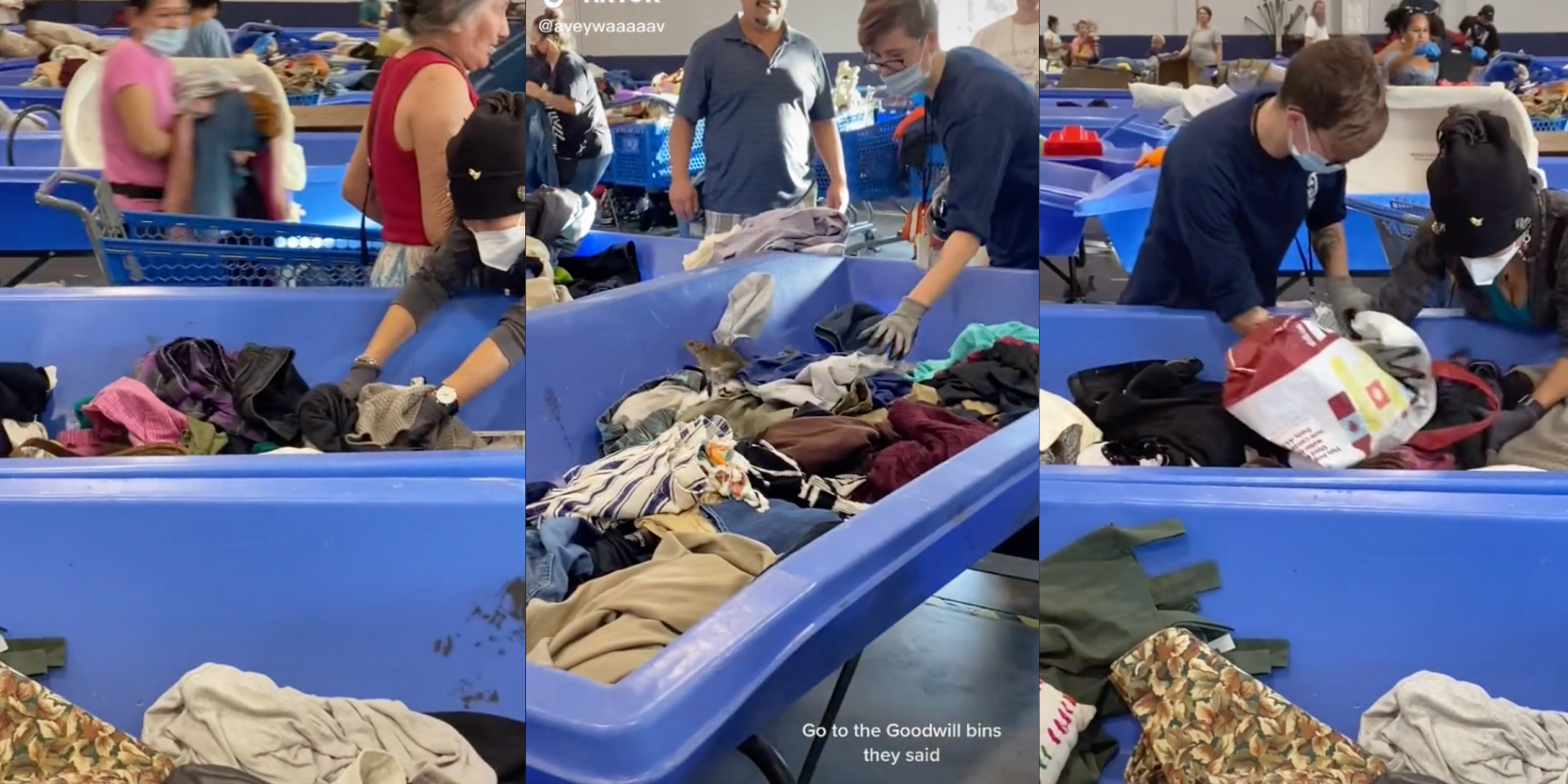 goodwill-bins-rat-tiktok