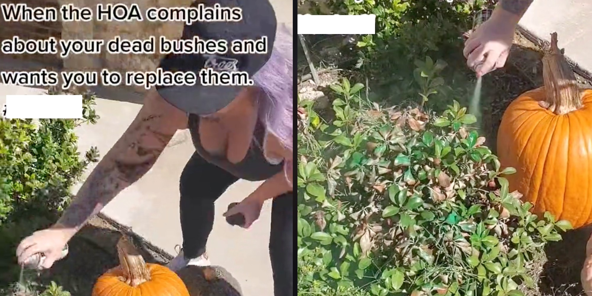 woman spray painting bushes green