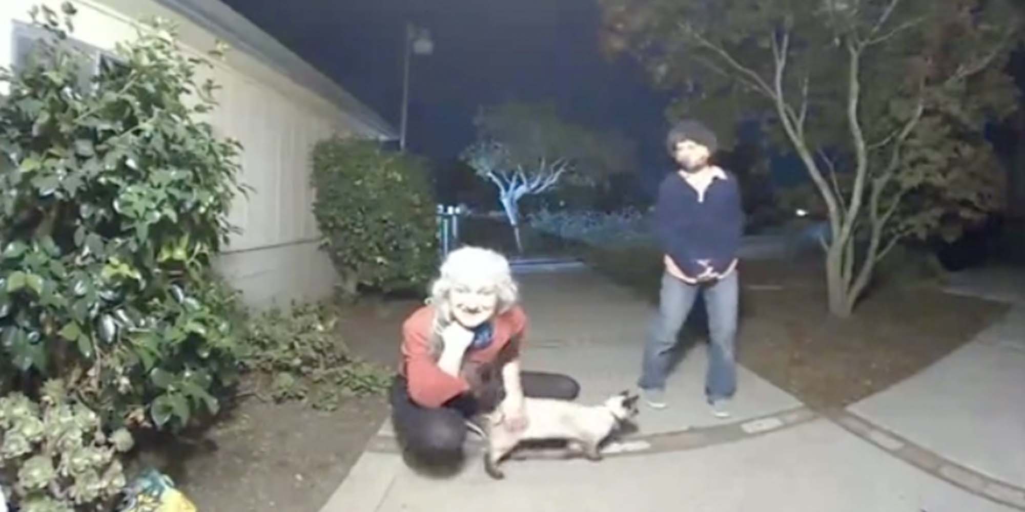 In a TikTok, a woman says she suspects her neighbor ate her cat.