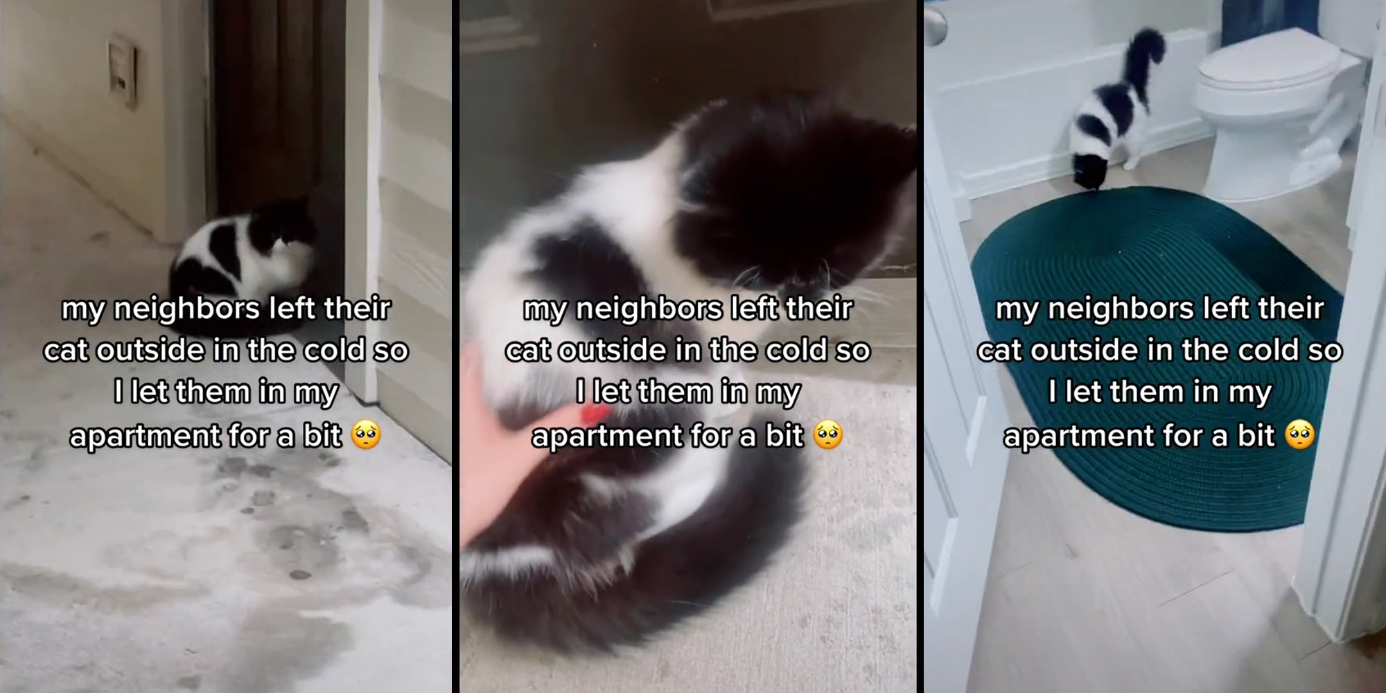cat outside door (l) hand petting cat (c) cat in bathroom (r) all with caption "my neighbors left their cat outside in the cold so I let them in my apartment for a bit"