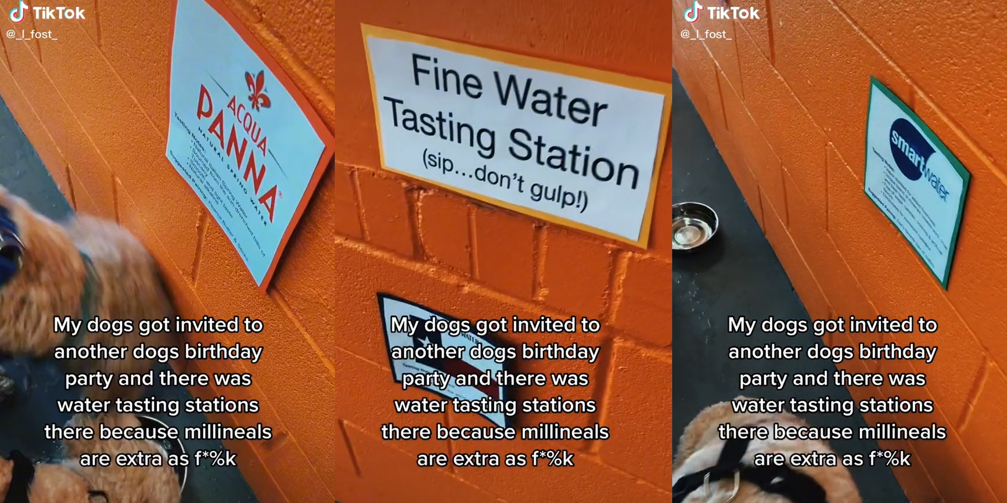 dog birthday water stations with caption "my dogs got invited to another dogs birthday party and there was water tasting stations there because millineals are extra as f*%k"