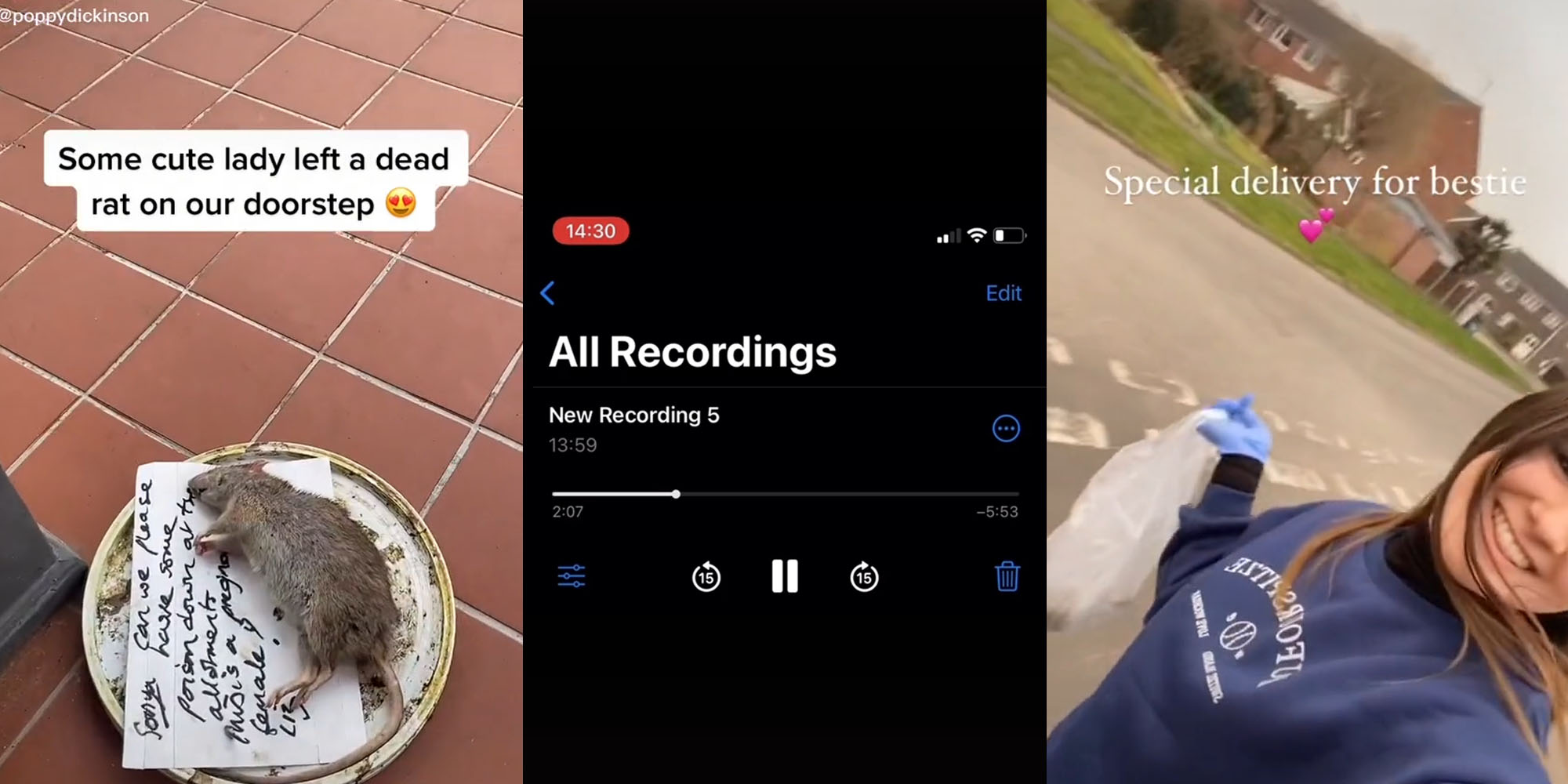 Dead rat on dish with note underneath caption " Some cute lady left a dead rat on our doorstep" (l) iPhone recording screenshot " All Recordings" "New Recording 5"(c) Woman with gloves and bag in hand caption " Special delivery for bestie" (r)