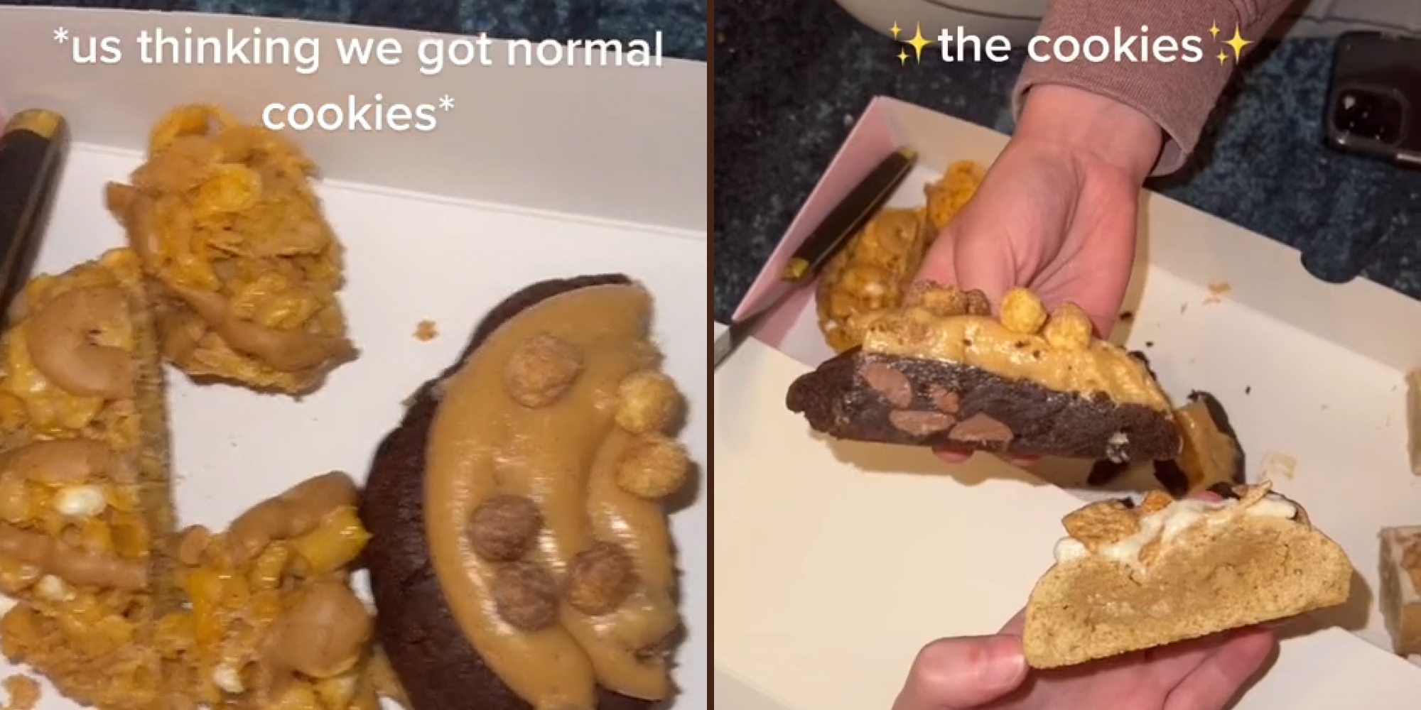 cookies in box cut up (l) Cookies cut open to reveal they are raw caption " the cookies " (r)