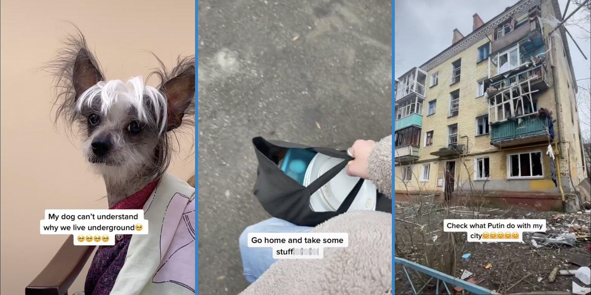 "My dog can't understand why we live underground" (L), "Go home and take some stuff" featuring a bag of plates (M), "Check what Putin do with my city" featuring damaged building (R)