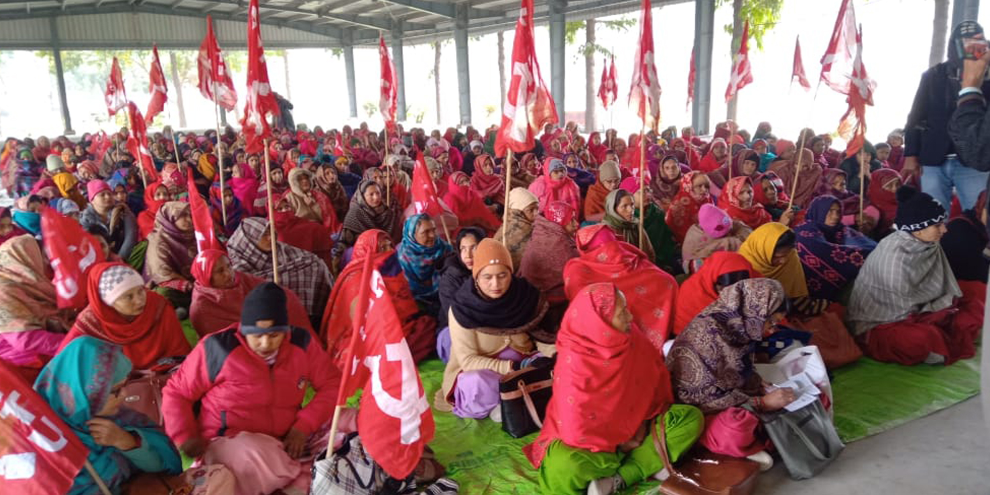 people seated holding flags