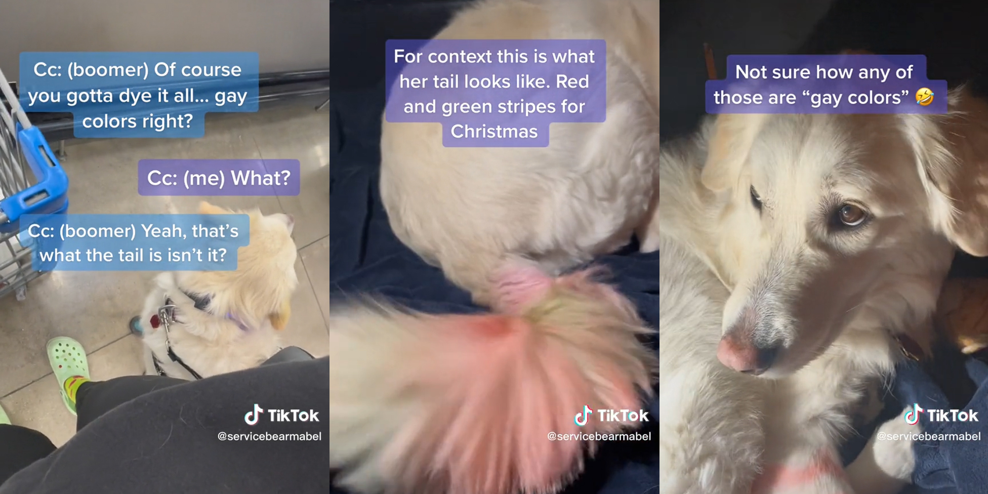 man in store thinks dog's red and green tail is dyed "gay colors"