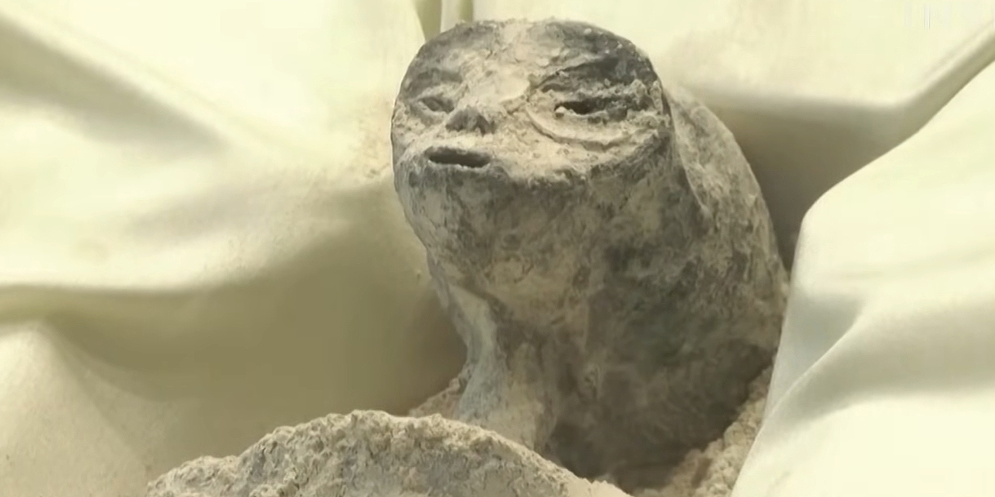 "Alien Mummy" on fabric