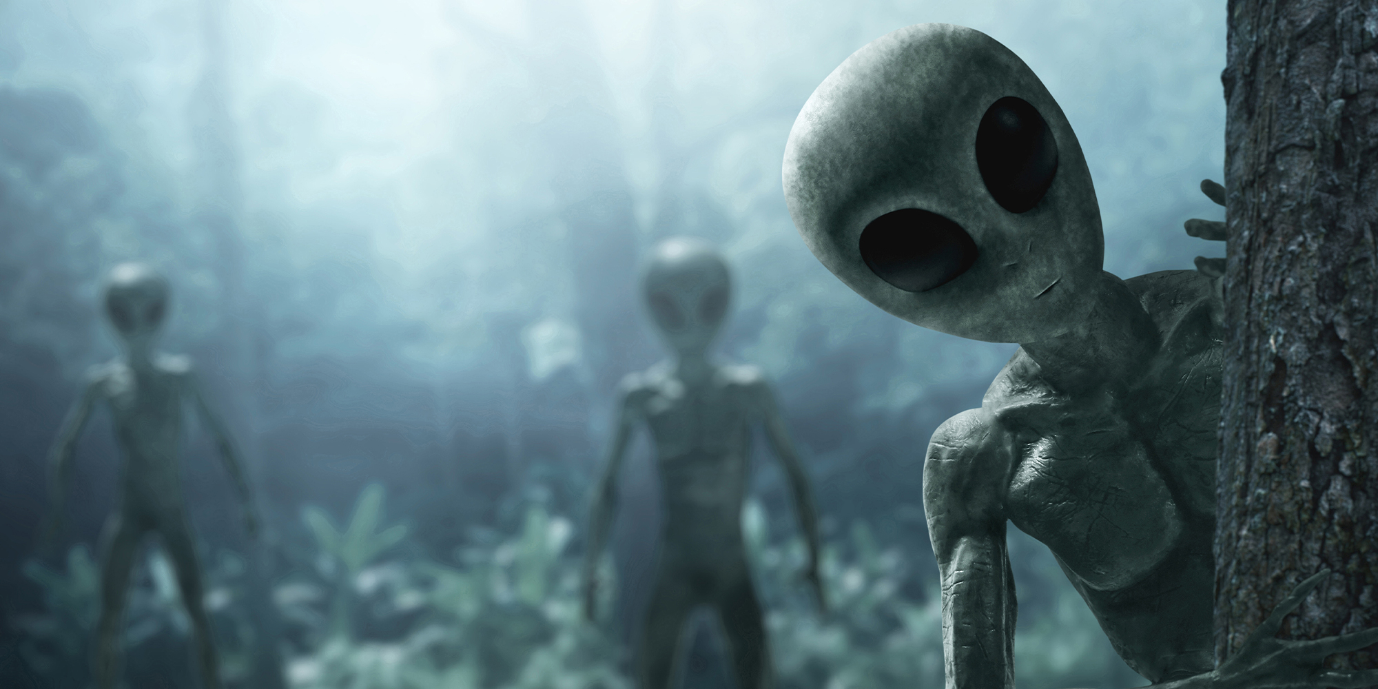 Aliens creature in the forest