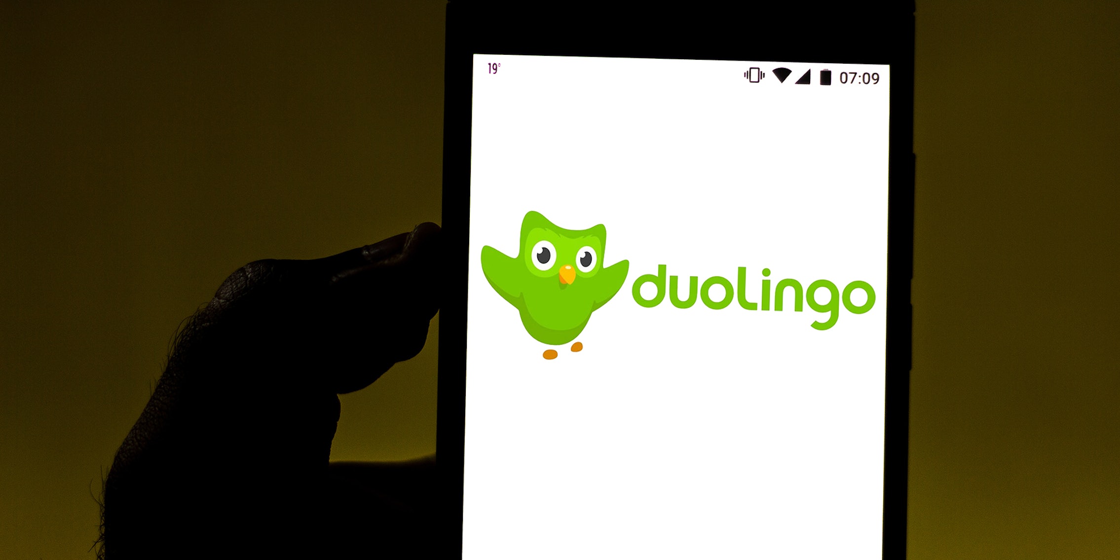 duolingo memes: In this photo illustration the Duolingo logo is displayed on a smartphone.