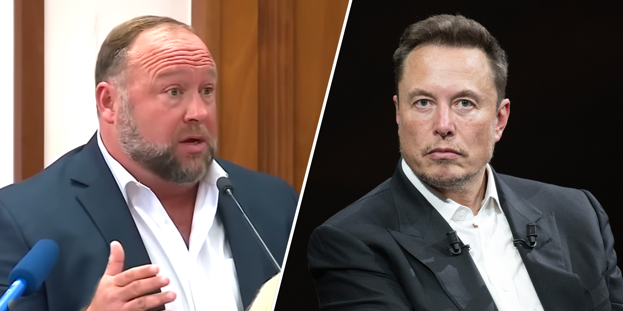 elon musk / alex jones