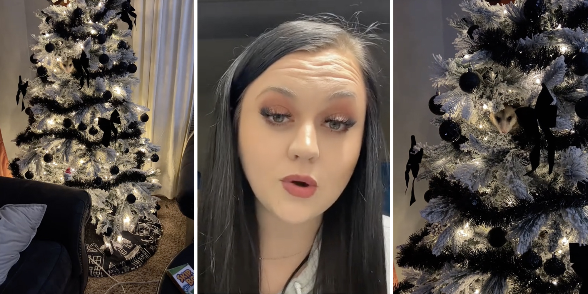 Christmas tree with oppossum in it(l+r), Woman talking(c)