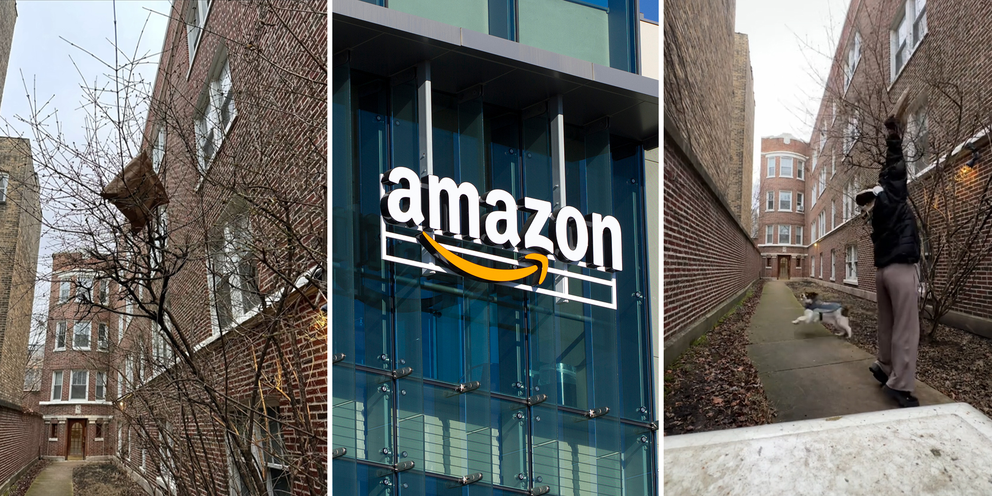 Amazon driver places customer's package in a tree