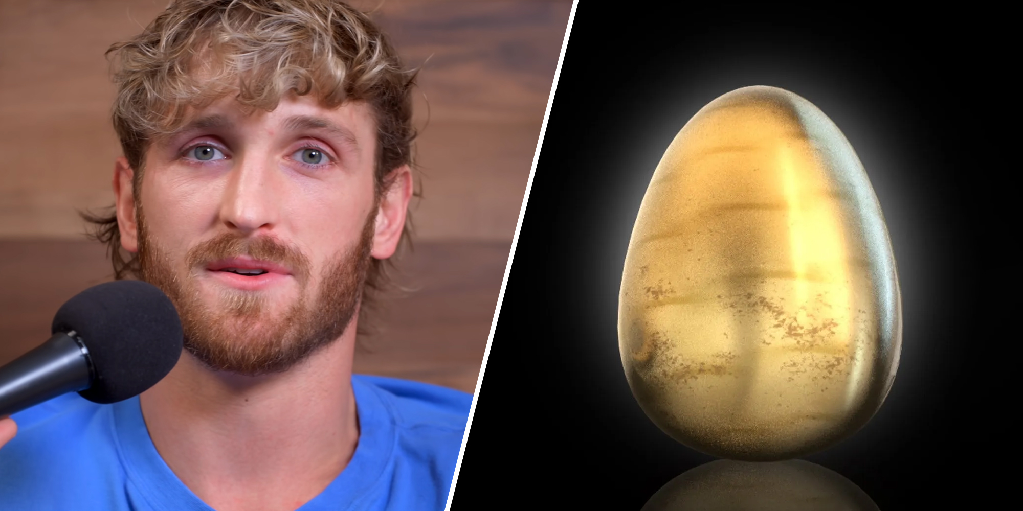 Logan Paul Pleads Ignorance in Cryptozoo Countersuit