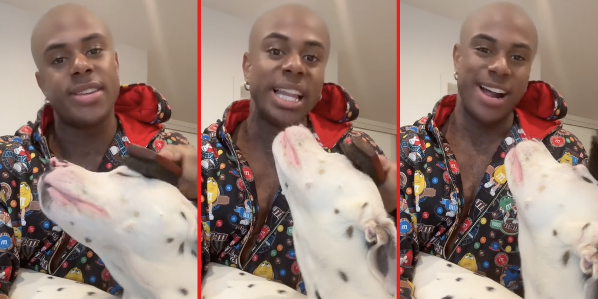 Man brushing dogs hair(three panel split)