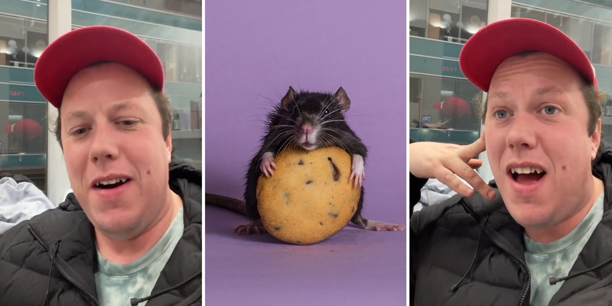 Chef explains why you should never ask a restaurant to make exceptions for you