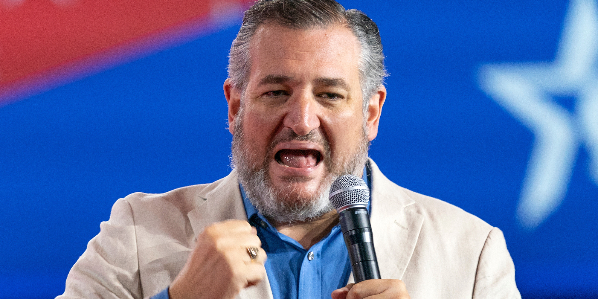 Ted Cruz speaks into mic