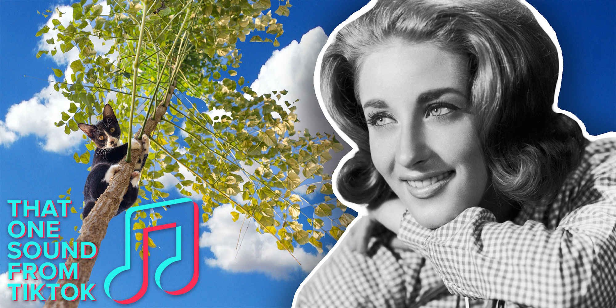 Lesley Gore with cat in a tree and clouds in the background