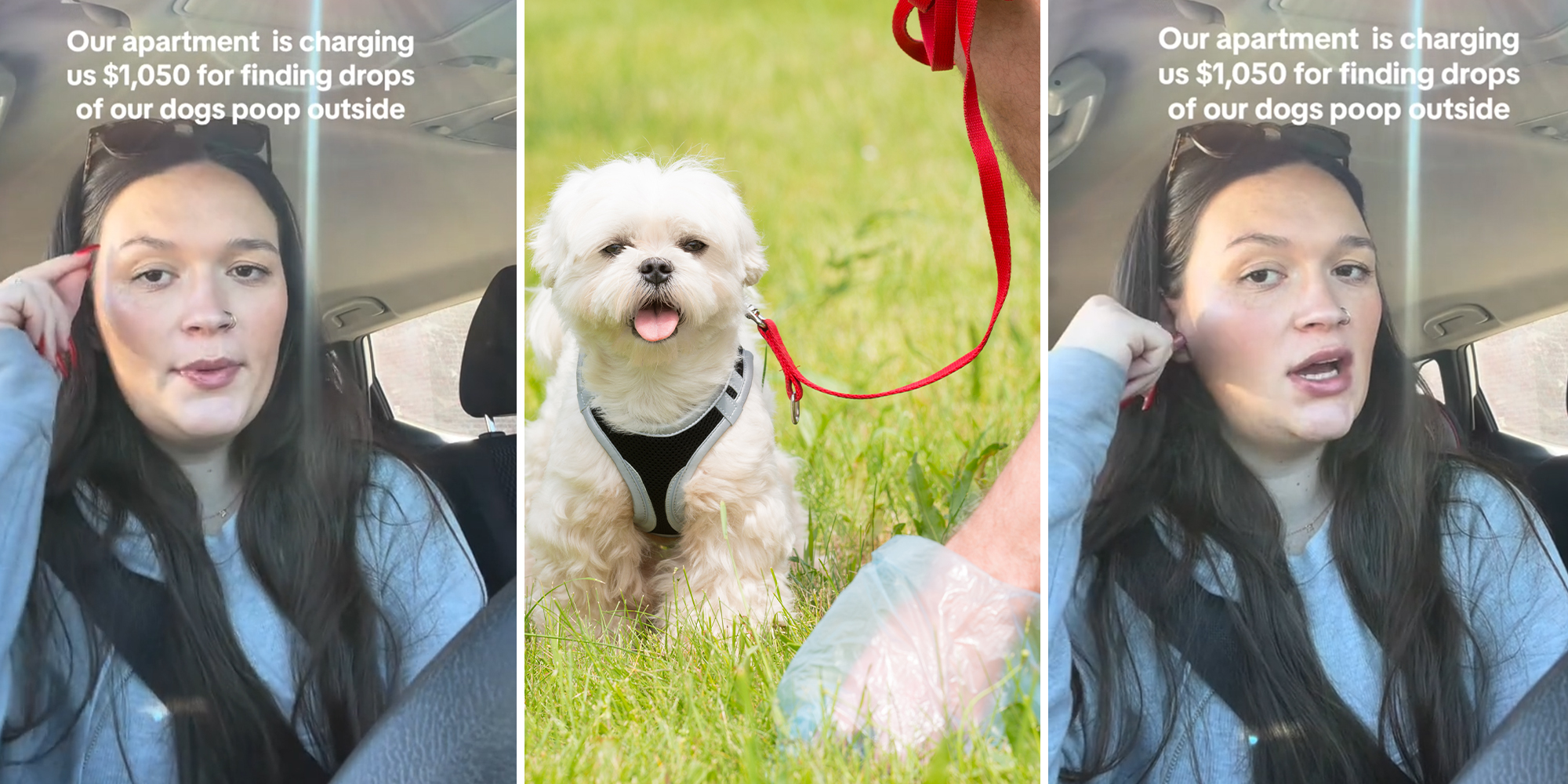 Woman complains after apartment charges her over $1,000 for not cleaning up after her dog.